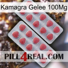 Kamagra Jelly 100Mg 19